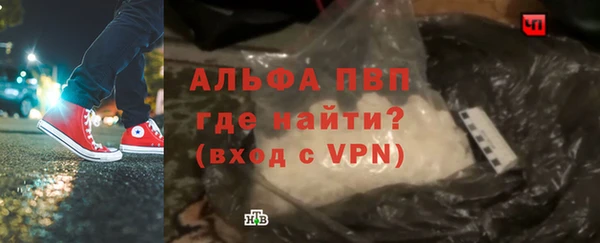 гидра Аркадак