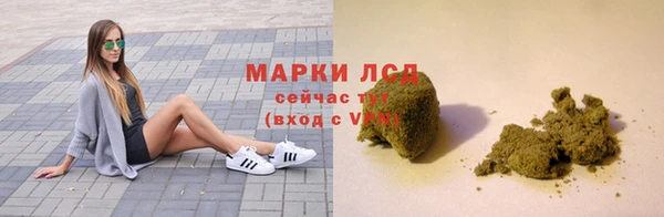 гидра Аркадак