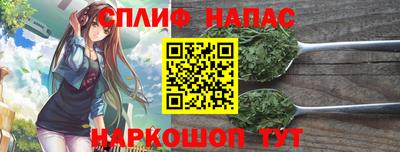тгк Дубна