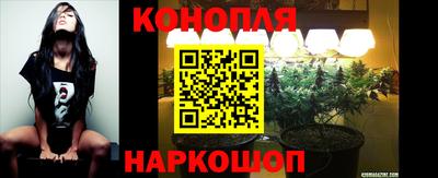 дмт Донской