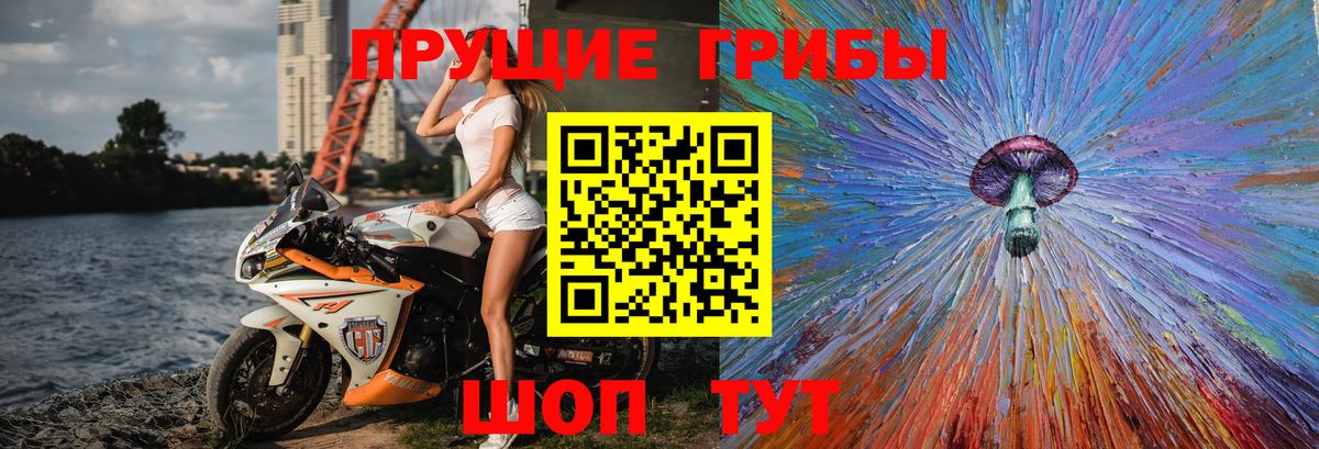 как найти закладки  Вход с VPN  Мытищи  Галлюциногенные грибы Cubensis 
